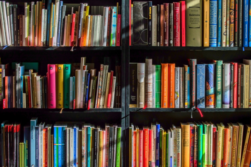 boutique-BEAUSOLEIL-min_books_bookstore_book_reading_shop_writer_sale_books_read-822866